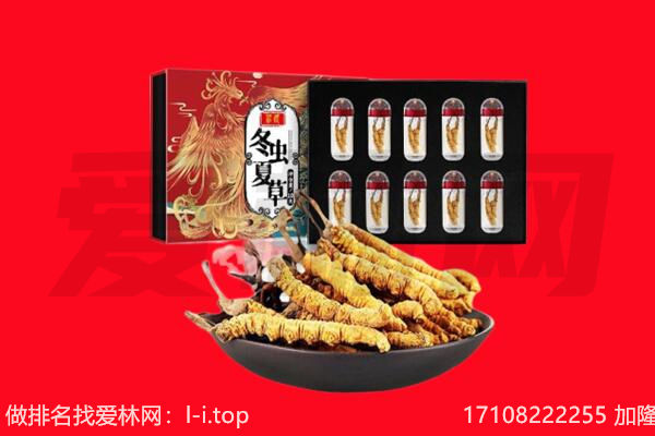 苏州回收虫草.jpg